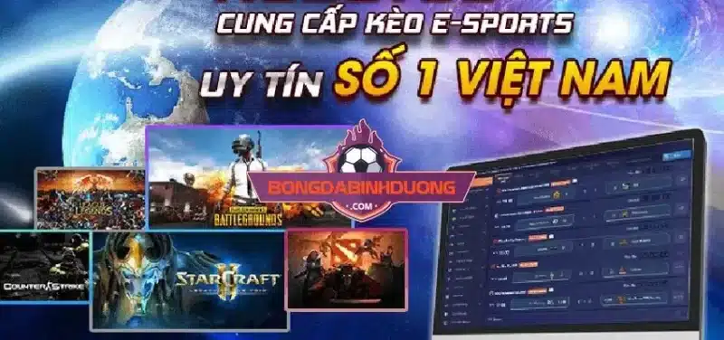 Top 10 Web cá cược Esport đáng trải nghiệm nhất 2023